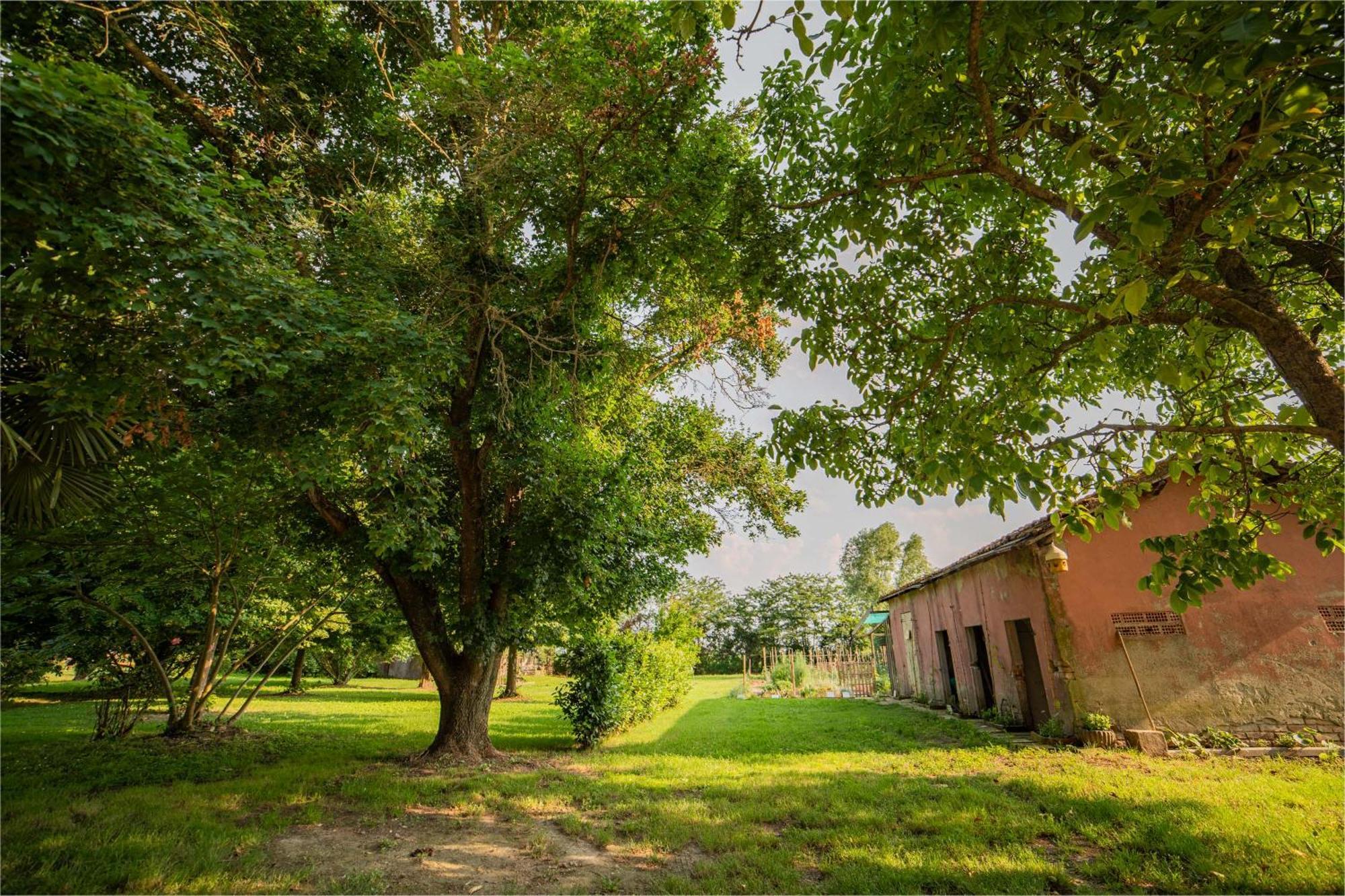 Tenuta Ca' Zen Taglio di Po Buitenkant foto
